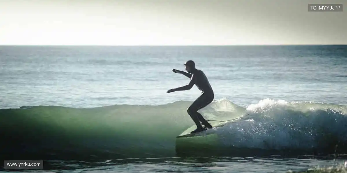 🎁 热爱永不缺席！官方正品周边，把偶像的力量穿在身上，握在手里！